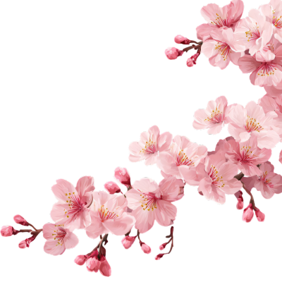 sakura-flores